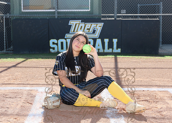 Tigers (45)