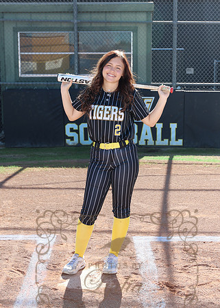 Tigers (46)