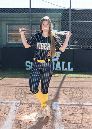 Tigers (65)