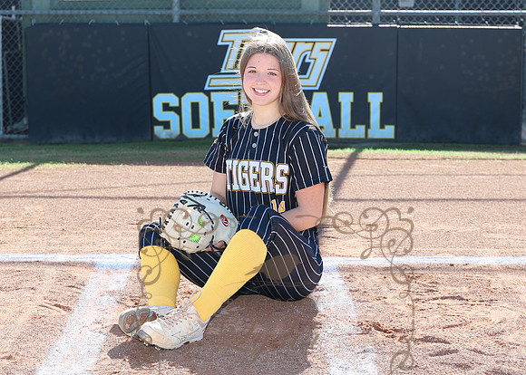 Tigers (71)