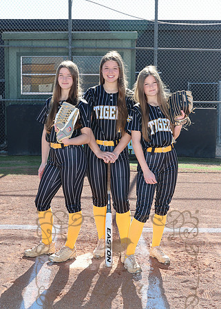 Tigers (81)