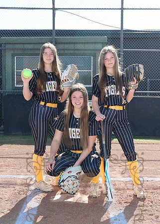 Tigers (83)