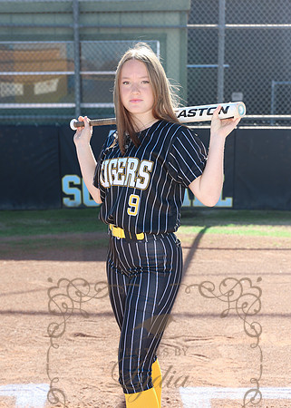 Tigers (87)
