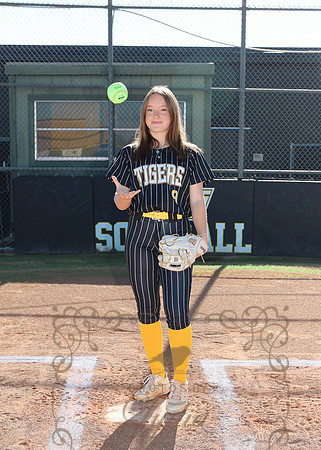 Tigers (88)