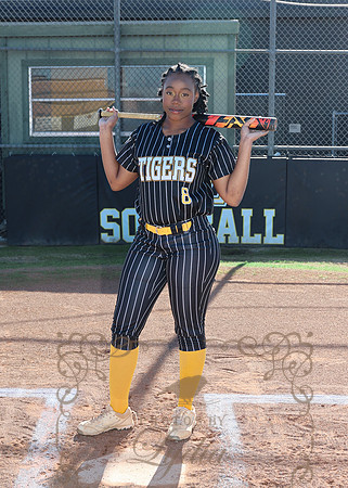 Tigers (101)