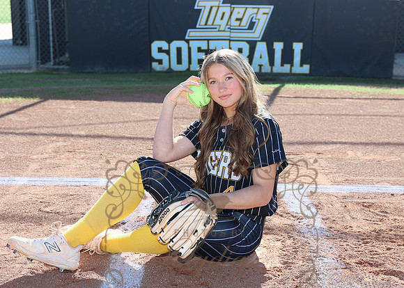 Tigers (99)