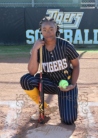 Tigers (103)