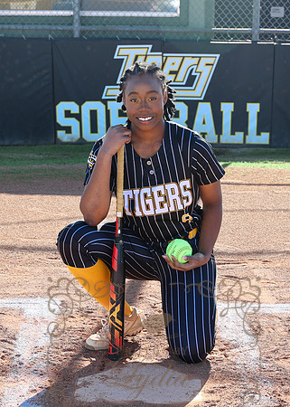Tigers (104)