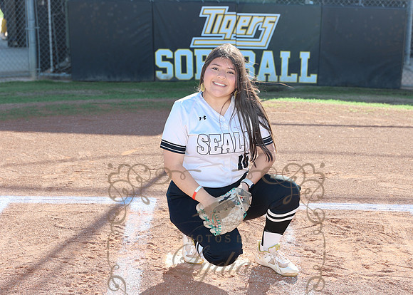 Tigers (118)