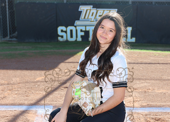 Tigers (125)