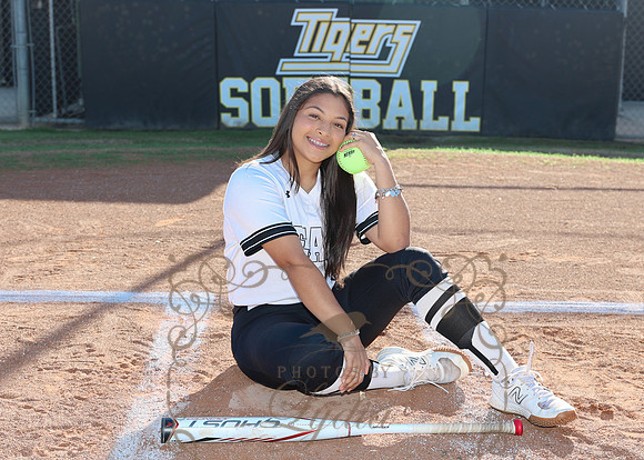 Tigers (132)