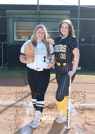 Tigers (140)