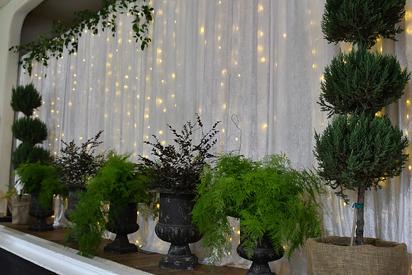 Details & Decor (73)