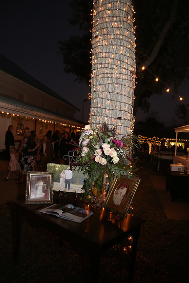 Reception (59)