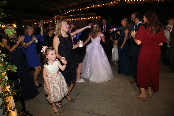 Reception (95)