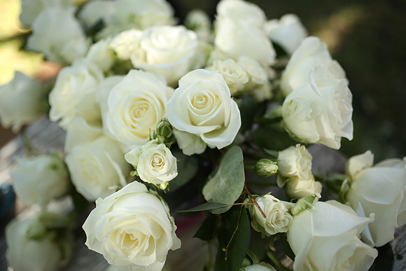 PreCeremony (14)