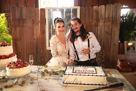 Reception (47)