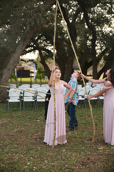 Reception (71)