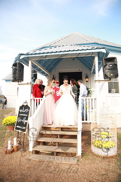Reception (74)