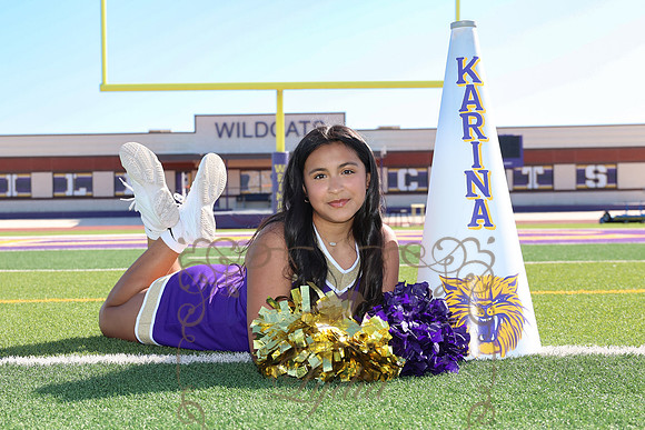 Cheer-8613