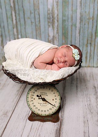 Graf (21)