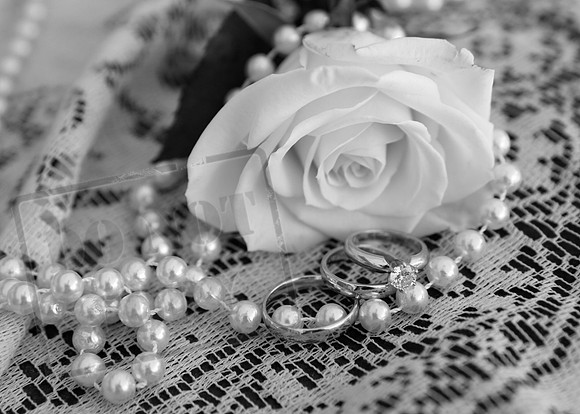 IMG_7642bw