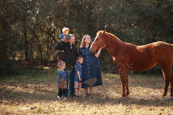 Family-132