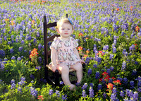 Amelia (1)