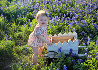 Amelia (2)