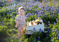 Amelia (4)