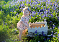 Amelia (3)