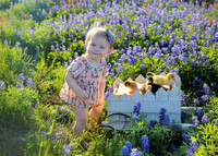 Amelia (9)