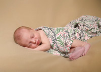 Haisley (1)
