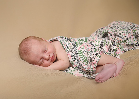 Haisley (1)