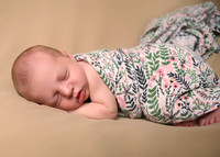 Haisley (2)