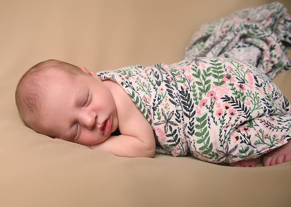 Haisley (2)