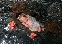 Haisley (4)