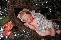 Haisley (6)