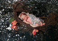Haisley (7)