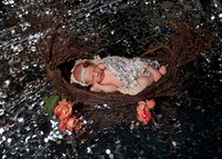 Haisley (11)