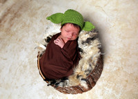 Ezra (8)