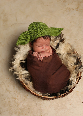 Ezra (11)
