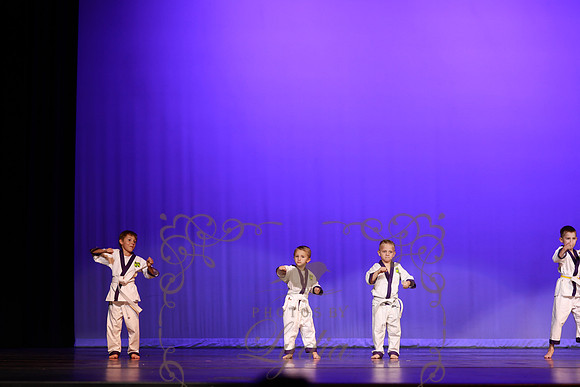 Taekwondo (11)