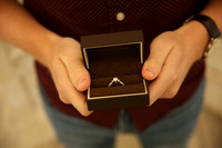 Proposal (15)