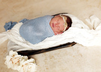 Harper (1)