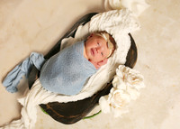 Harper (2)