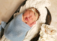 Harper (3)