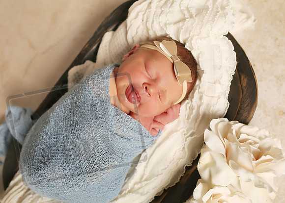 Harper (3)