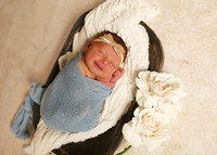Harper (4)