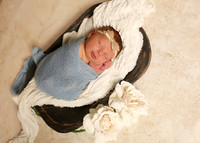 Harper (5)